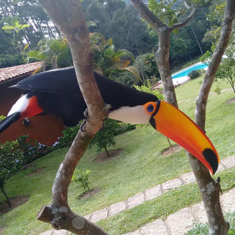 Pousada Tucano Do Cuiaba Itaipava Exterior photo