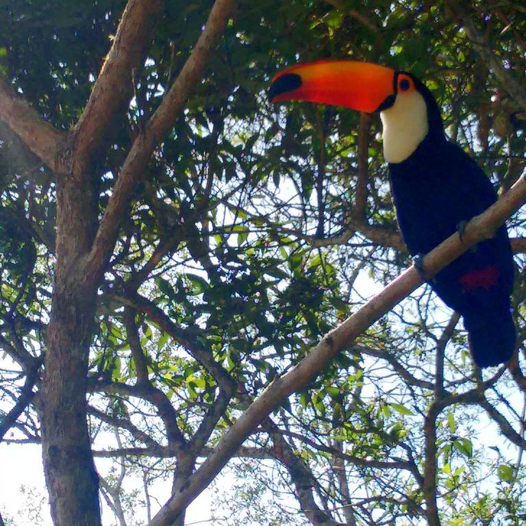 Pousada Tucano Do Cuiaba Itaipava Exterior photo